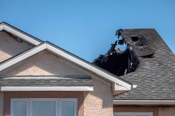 Top rated local Firefighting Water Removal specialists in El Mirage, AZ